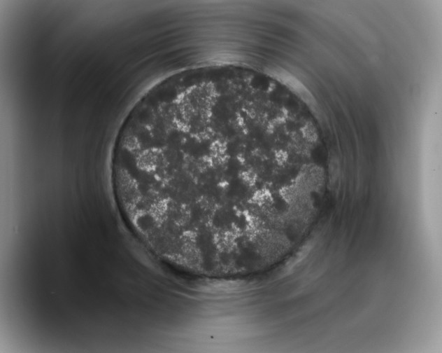 X0000089761039200707201938