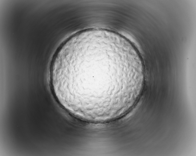 X0000089761040200707201938
