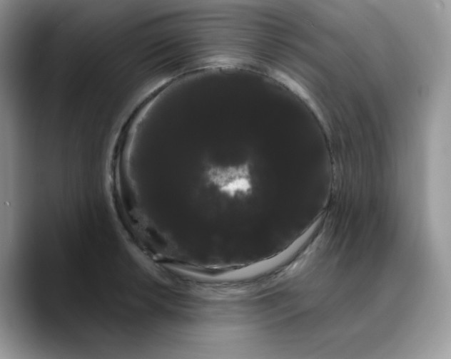 X0000089761042200707201938