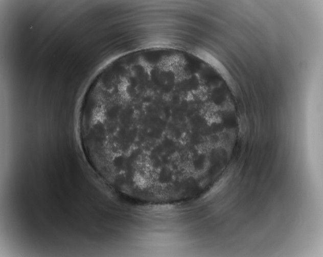 X0000089761043200707201938