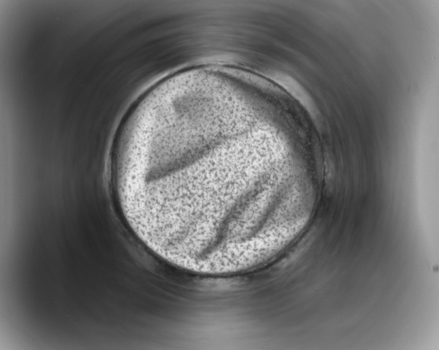 X0000089761044200707201938