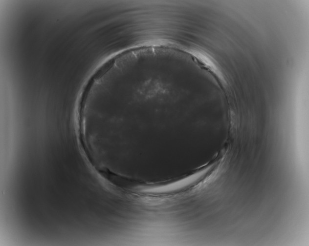 X0000089761046200707201938