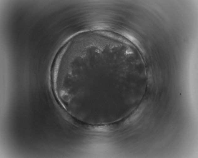 X0000089761047200707201938