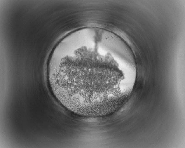 X0000089761048200707201938