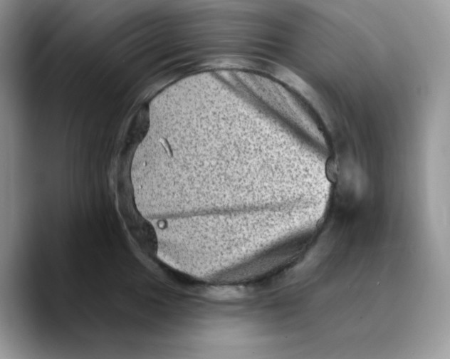 X0000089761049200707201938