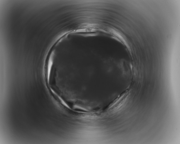X0000089761050200707201938