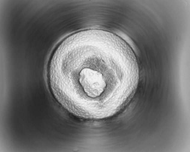 X0000089761051200707201938