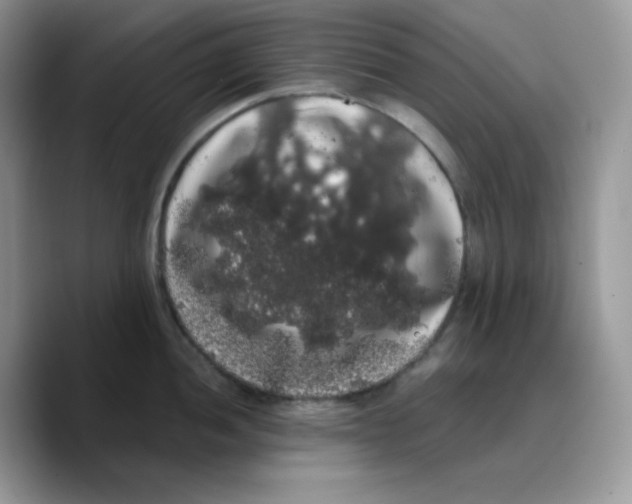 X0000089761052200707201938