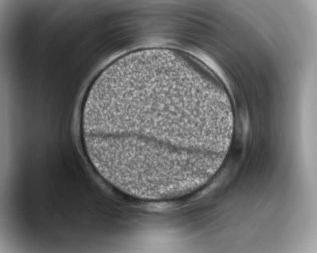 X0000089761053200707201938
