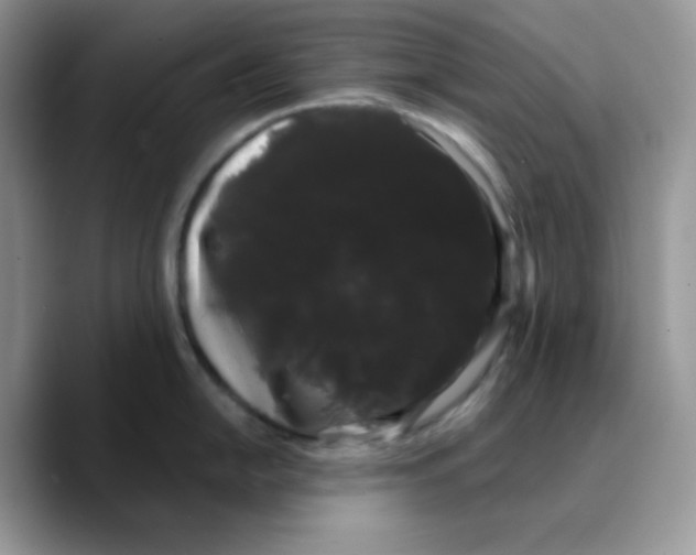 X0000089761054200707201938