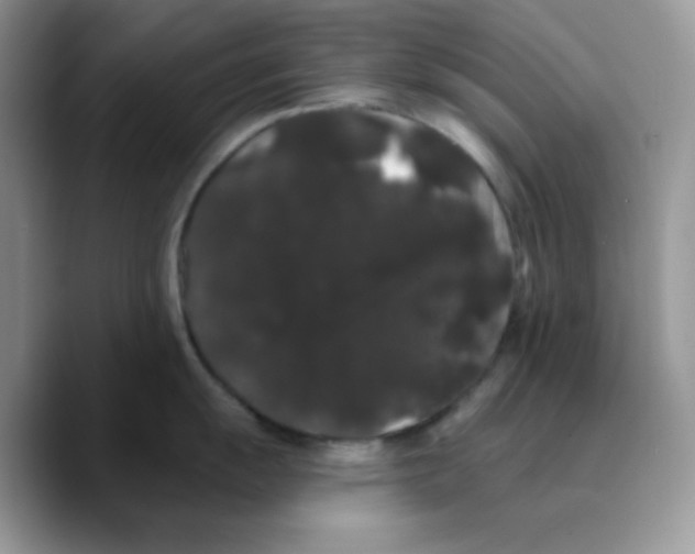 X0000089761055200707201938