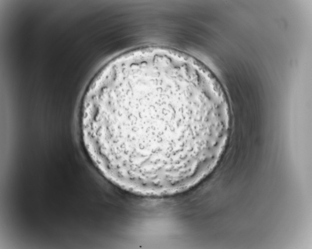 X0000089761056200707201938