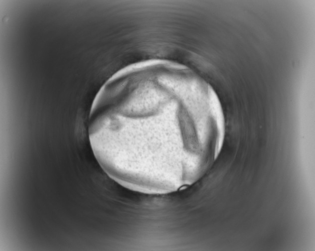 X0000089761058200707201938