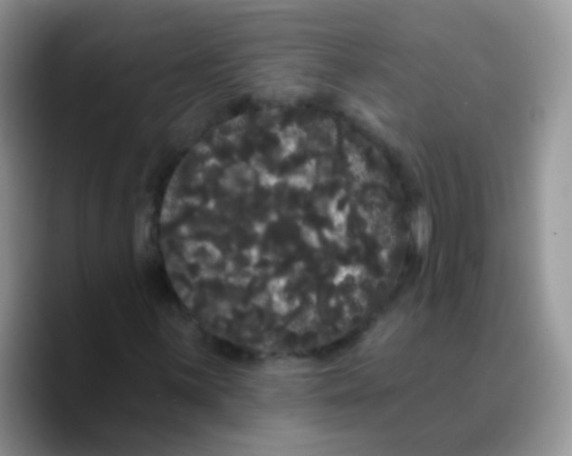 X0000089761059200707201938