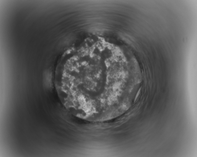 X0000089761060200707201938