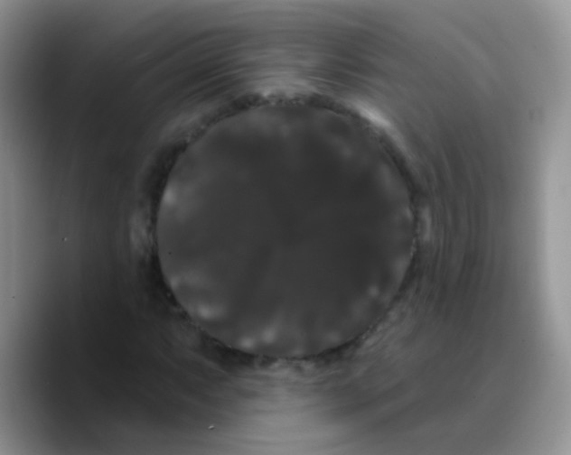 X0000089761063200707201938
