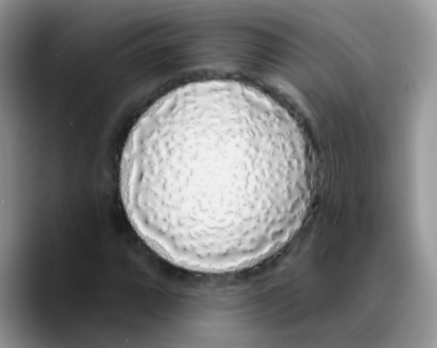 X0000089761064200707201938