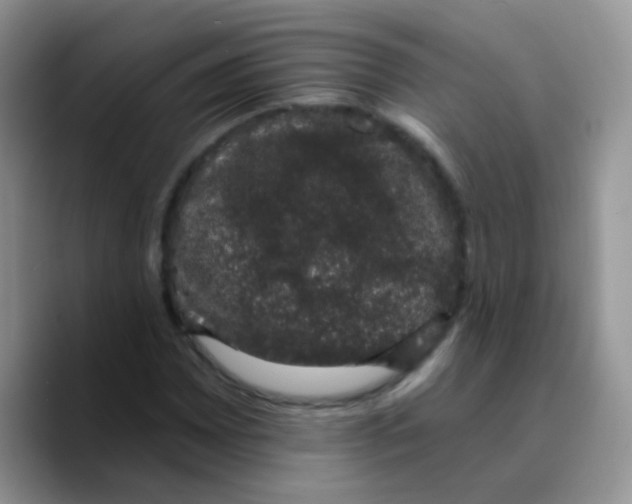 X0000089761065200707201938