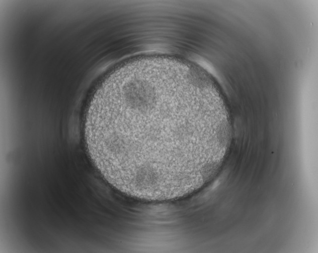 X0000089761067200707201938