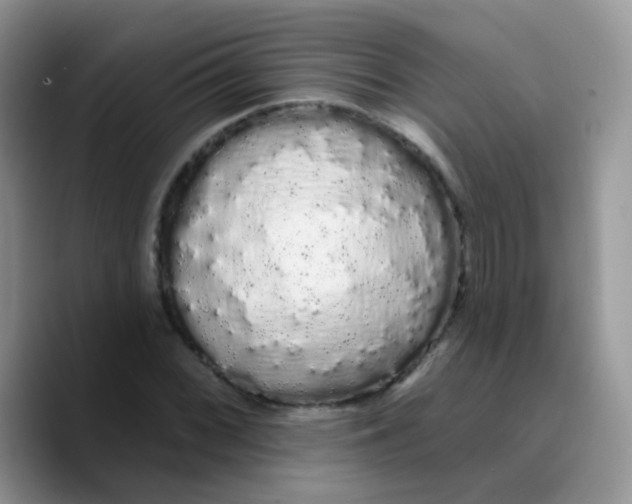 X0000089761068200707201938