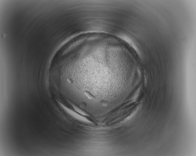 X0000089761069200707201938
