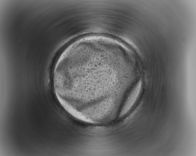X0000089761070200707201938