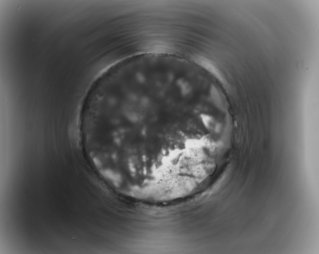 X0000089761071200707201938