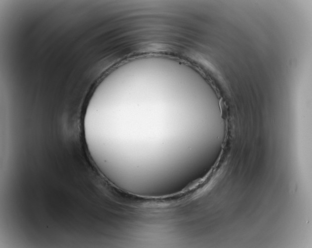 X0000089761073200707201938