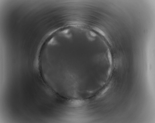 X0000089761074200707201938