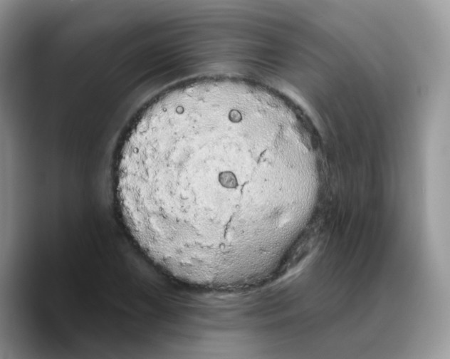 X0000089761075200707201937
