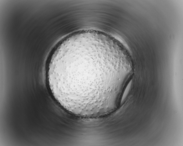 X0000089761076200707201937