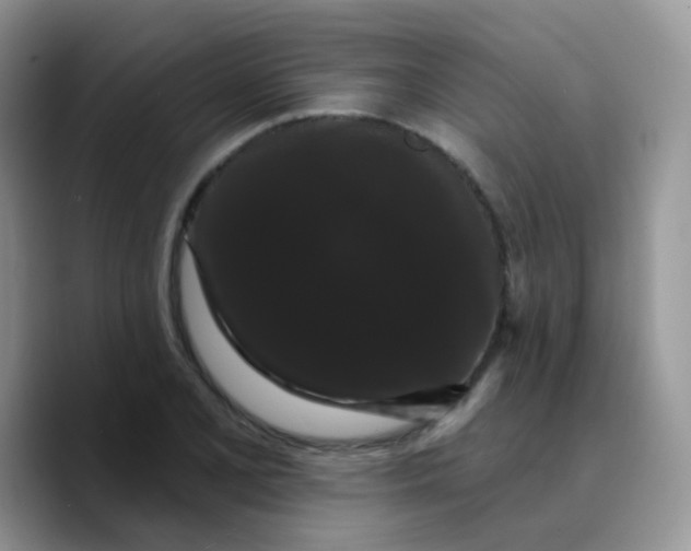 X0000089761077200707201937