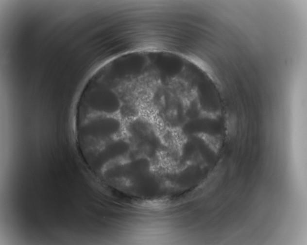 X0000089761078200707201937
