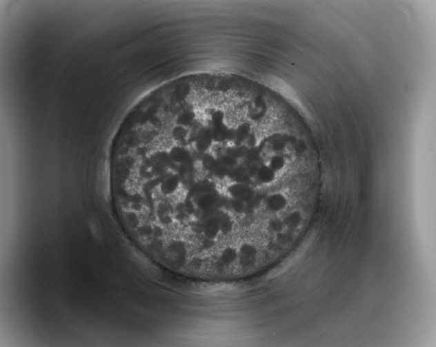 X0000089761079200707201937