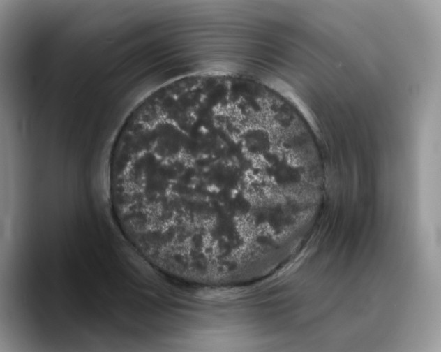 X0000089761083200707201937