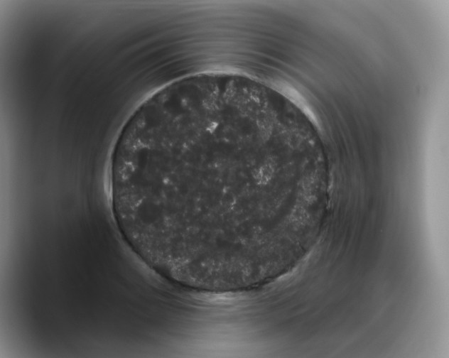 X0000089761084200707201937