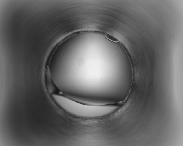 X0000089761085200707201937