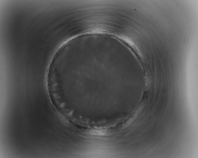 X0000089761086200707201937