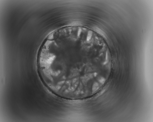 X0000089761087200707201937
