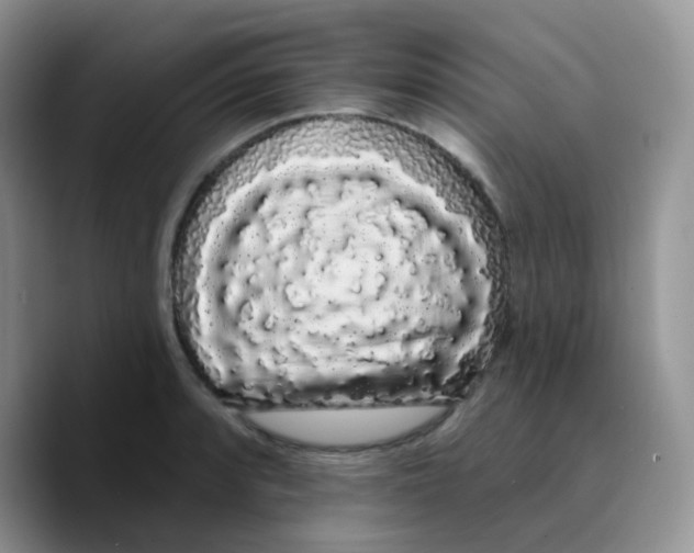 X0000089761088200707201937