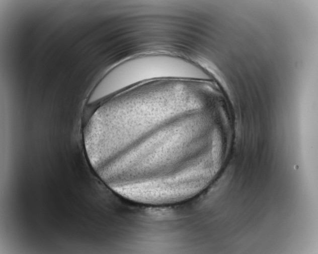 X0000089761089200707201937