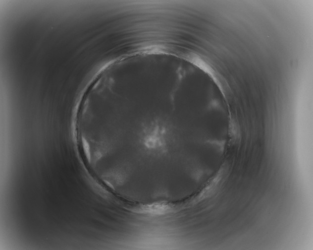 X0000089761090200707201937