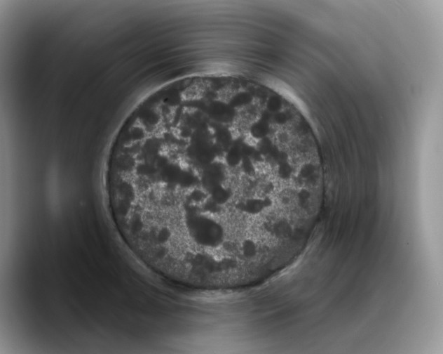 X0000089761091200707201937