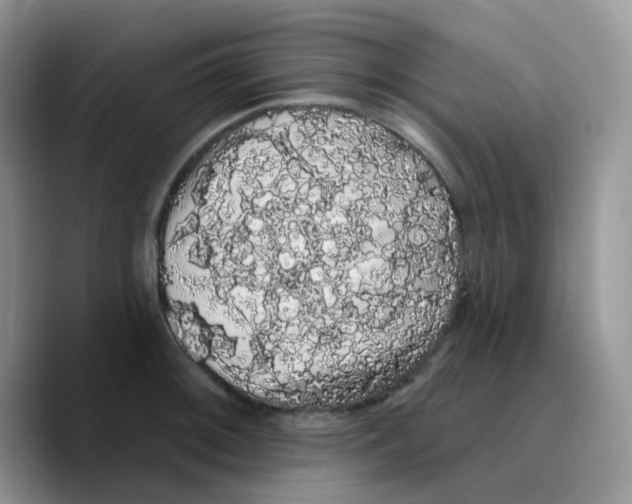 X0000089761092200707201937