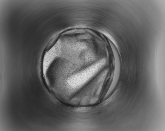 X0000089761093200707201937