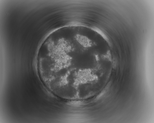 X0000089761094200707201937