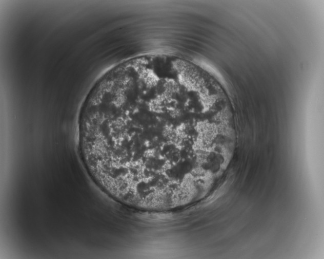 X0000089761095200707201937
