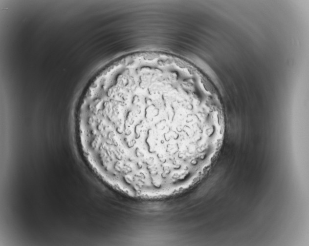 X0000089761096200707201937