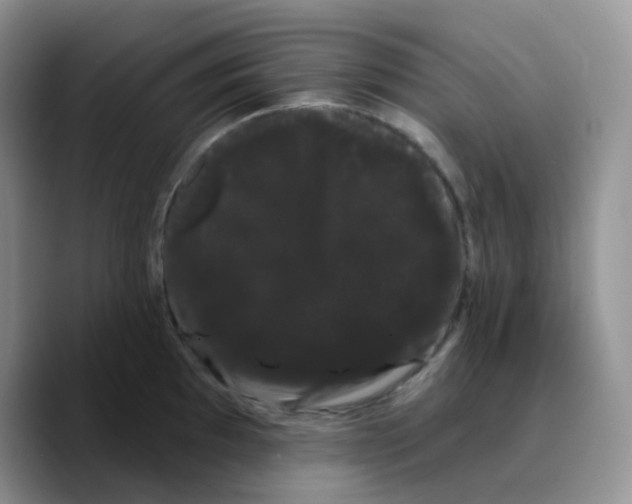 X0000089761097200707201937