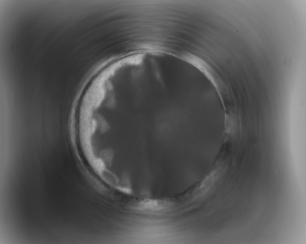 X0000089761098200707201937